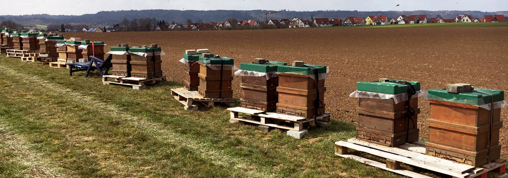 beuten-panorama-uttenhofen