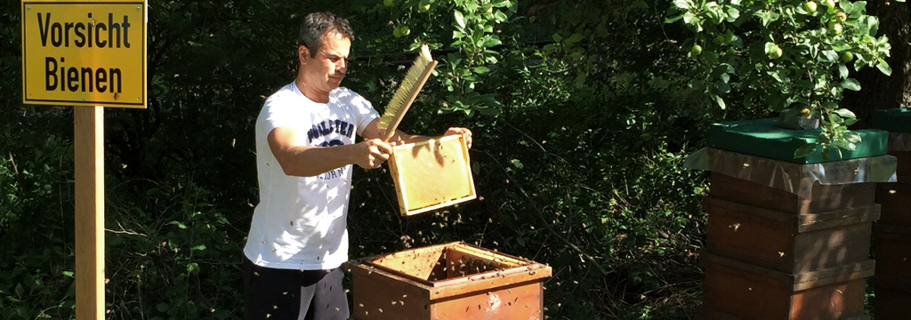vorsicht-bienen