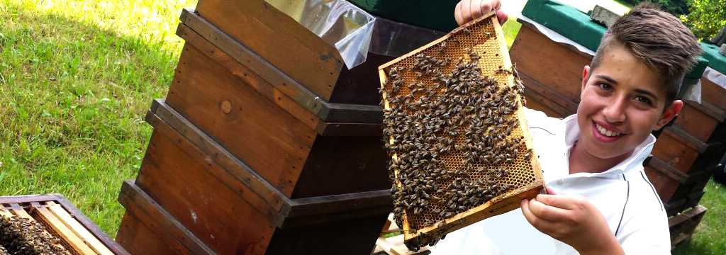 hungimker-mit-rahmen-voll-bienen